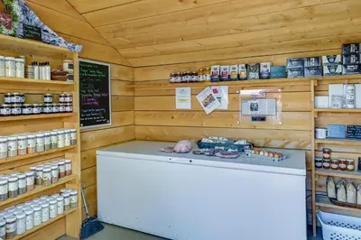 a kitchen with a counter in a store with a shelf at Upstate New York Vacation Rental Near Cooperstown! in Cherry Valley