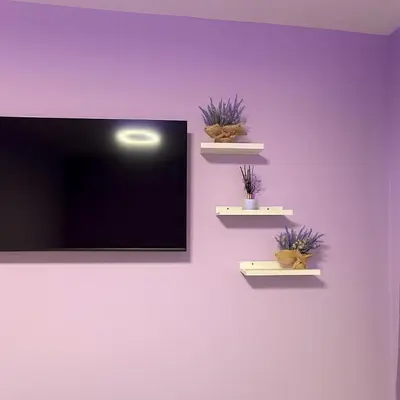 a tv on a wall with three plants on it at Lavender style Room in Geusthouse in New York
