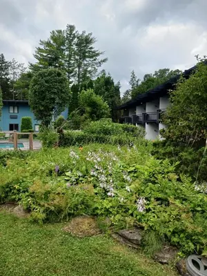 a garden with flowers in front of a house at Hotel Vervana, Trademark Collection by Wyndham in Bennington
