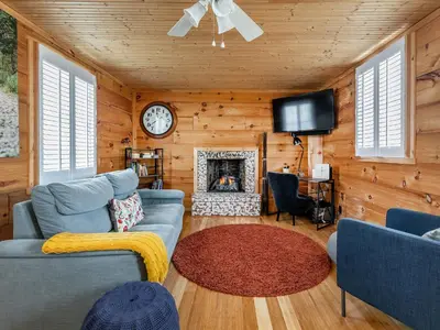 a living room with a couch and a fireplace at Cozy 2-bedroom Cottage with Access to Bantam Lake in Morris
