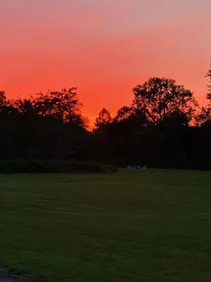 a sunset in a field with trees in the background at Battenkill Glamping Resort in Cambridge