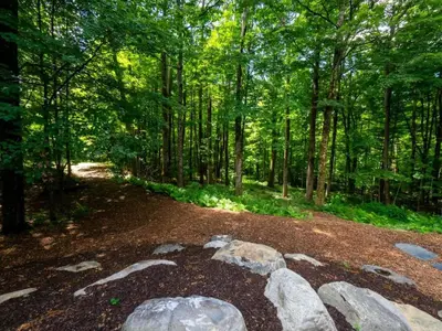 a forest with rocks on a dirt road at Hupi House - A Peaceful Wooded Lakeside Retreat in Monterey