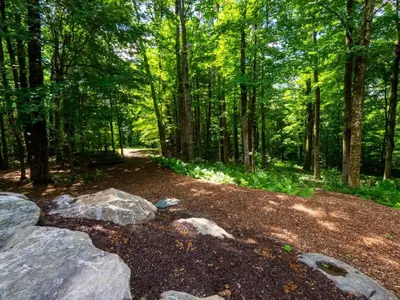 a path in the woods with rocks and trees at Hupi House - A Peaceful Wooded Lakeside Retreat in Monterey