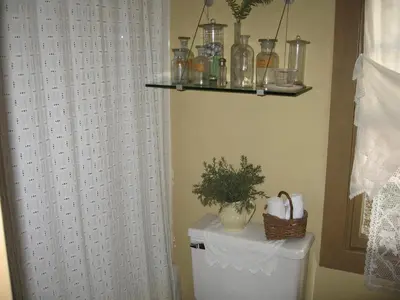 a bathroom with a white shower curtain and a toilet at Private setting on country farm near Rhinebeck in Clinton Corners