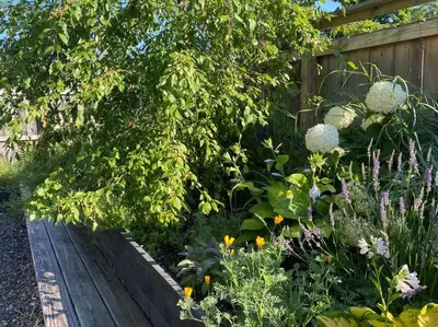 a garden with flowers and a wooden fence at Elegant Townhouse, Hudson center, 3 ensuite baths in Hudson