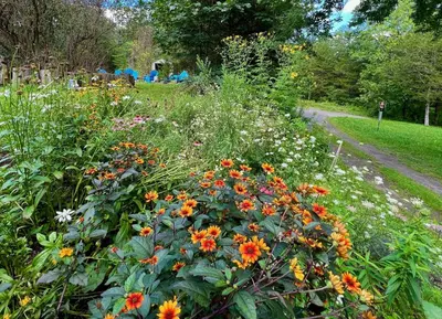 a garden with flowers and a dirt road at 1890 CapeCod farmhouse:Charming, Private, Spacious in Saugerties