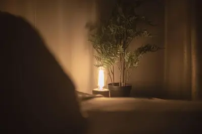 a lamp sitting on a table next to a plant at Suite Dreams 2BR Parking Yale New Haven Lawn Club in New Haven