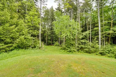 a field in the middle of a forest at Secluded Elka Park Cabin Hot Tub and Fire Pit! in Elka Park