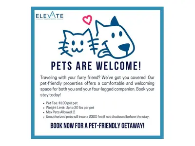 a poster of two cats and a dog with the words pets are welcome at Studio Haven in Times Square & Nearby Restaurants in New York
