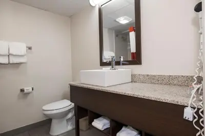 a bathroom with a sink and a toilet and a mirror at Red Roof Inn PLUS+ Poughkeepsie in Poughkeepsie