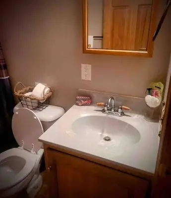 a bathroom with a white sink and a toilet at Upstate getaway. Leave your troubles behind. in Unadilla