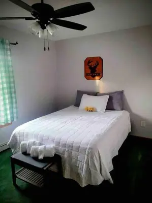 a bedroom with a bed with a ceiling fan at Upstate getaway. Leave your troubles behind. in Unadilla