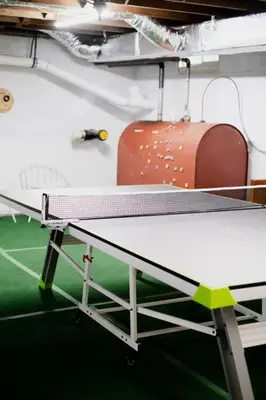 a ping pong table in a room with a ping pong ball at The Norsdale plus CMYK Motel on 10 acres in Phoenicia in Phoenicia