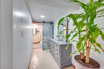 a hallway with a dresser and potted plants at East Hartford Studio about 4 Mi to Downtown Hartford! in East Hartford
