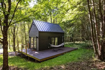 a cabin in the woods with a hammock on a deck at Lil' Rita in Bloomville