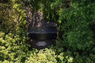 an overhead view of a bench in the middle of trees at Lil' Rita in Bloomville