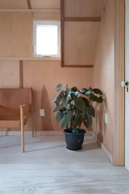 a potted plant in a room with a chair at Modern Cottage Two (The Lorca, Catskills) in Shandaken