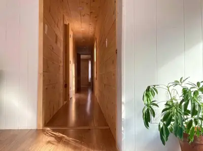 a hallway of a house with a potted plant at Stream House (The Lorca, Catskills) in Shandaken