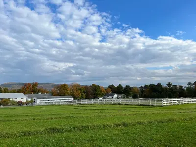 a green field with a white fence and trees at The Inn at Richmond in Richmond