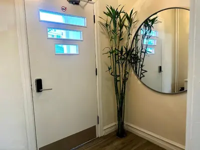 a hallway with a mirror and a plant next to a door at 8-A Diamond in Yonkers, NY in Yonkers