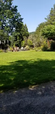 a large field of green grass with a large tree at Eastgate Inn B&B in Lenox