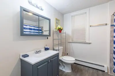 a bathroom with a sink and a toilet and a mirror at Frog Hollow Red Door Haven in Hartford