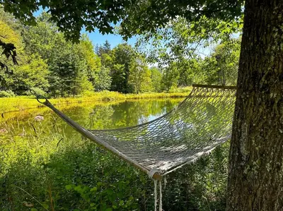a hammock hanging from a tree next to a lake at Sunday Hollow in Margaretville