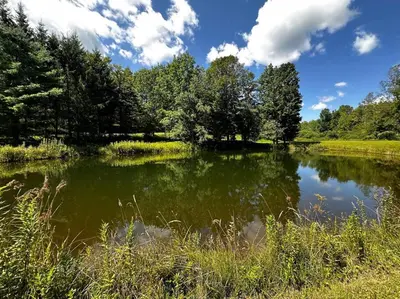 a pond with trees and clouds in the sky at Sunday Hollow in Margaretville