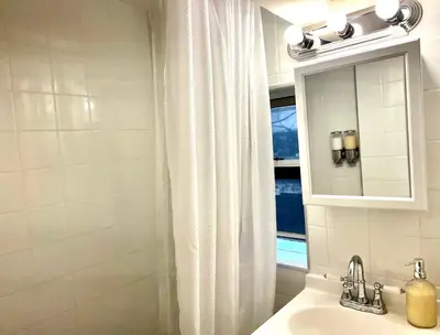 a bathroom with a sink and a mirror and a shower at 5-A Diamond in Yonkers in Yonkers