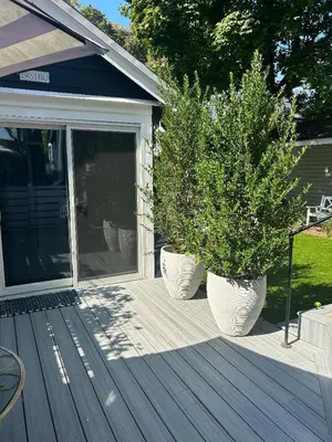 two plants in white pots sitting on a deck at Adorable 1 bedroom cottage in Forest Hills