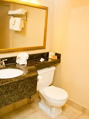 a bathroom with a toilet and a sink and a mirror at Quality Inn East Stroudsburg - Poconos in East Stroudsburg