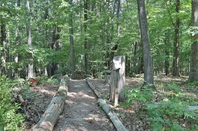 a trail in the woods with a tree stump at Moondance Ridge Suites in New Paltz