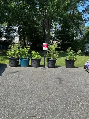 a group of potted plants in a park with a sign at Cozy First Floor Apartment in Chicopee