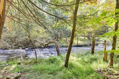 a painting of a river in a forest with trees at Pocono Pines Gem with Fire Pit and On-Site Creek! in Pocono Pines