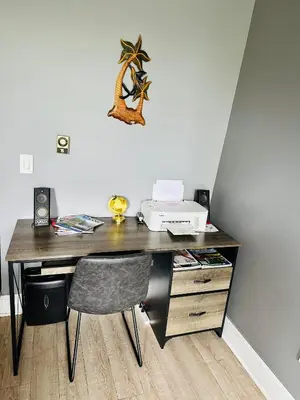 a desk with a phone and a printer on it at Spacious Apartment Downtown Albany, NY in Albany