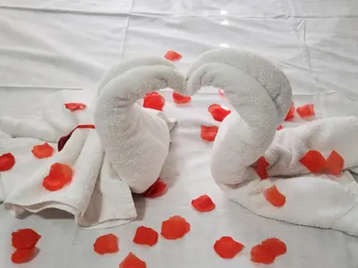 two towels shaped like swans laying on a bed with hearts at Lovely 2 bedroom Apartment with 2 Entrance and Parking with a fee in University Heights