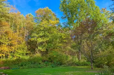 a park with green grass and trees in the background at Green Mountain Retreat in Sunderland