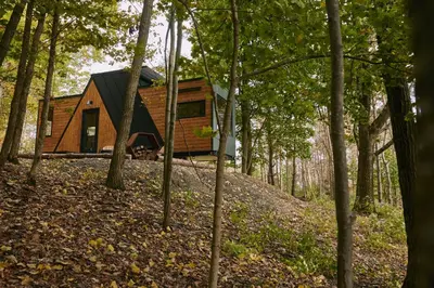 a cabin in the middle of a forest with trees at Sowilo All-inclusive Resort in Greenwich