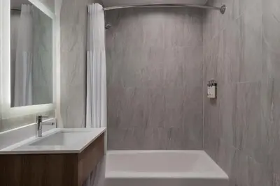 a bathroom with a white sink and a shower at Holiday Inn Express & Suites Bronx - Zoo Area by IHG in Bronx