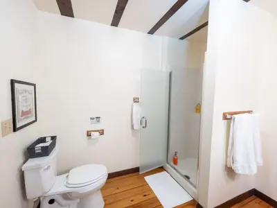 a bathroom with a toilet and a shower at Berkshire Vacation Rentals: Pristine Home In Becket Woods in Becket