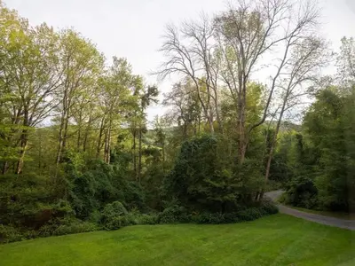 a green field with trees and a road at Berkshire Vacation Rentals: High End Berkshires Getaway in East Hillsdale