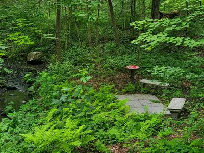 a bench sitting on a path in the woods at Near Marist/Vassar/Culinary Inst./Historic Sites! in Pleasant Valley
