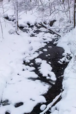 a snow covered stream with snow on the ground at Near Marist/Vassar/Culinary Inst./Historic Sites! in Pleasant Valley