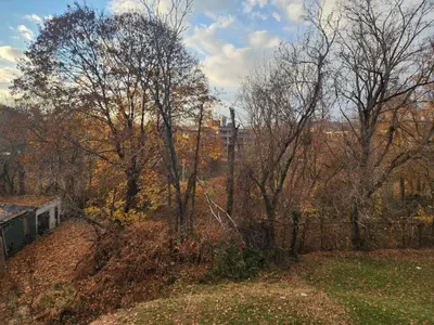 a field with trees and a building in the background at Fashionably cozy2 in Meriden