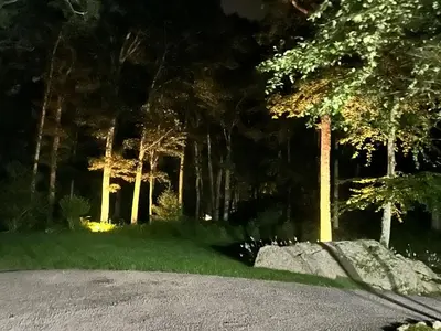 a forest at night with a rock and trees at Upmarket Country Retreat, Washington, Connecticut in Washington