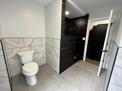 a bathroom with a toilet and a walk in shower at 5 Bed / 3 bath Apt Near Jiminy Peak Berkshires in Stephentown
