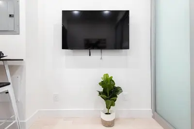 a tv hanging on a white wall with a plant at 317-1AN - New Modern 1BR W&D Walk to Central Park in New York