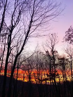 a group of trees with a sunset in the background at Tory Hill in Hillsdale
