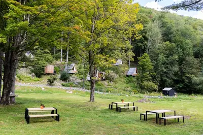 three park benches sitting in a grass field at Eastwind Hotel Oliverea Valley in Big Indian