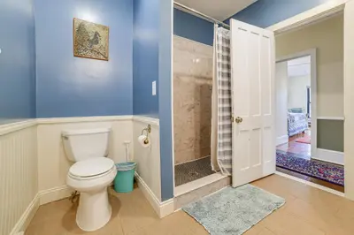 a bathroom with a toilet and a shower at Fly Creek Historic Home By Cooperstown! in Fly Creek